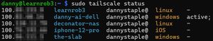sudo tailscale status output showing the robot joined to the tailnet alongside a homelab NAS